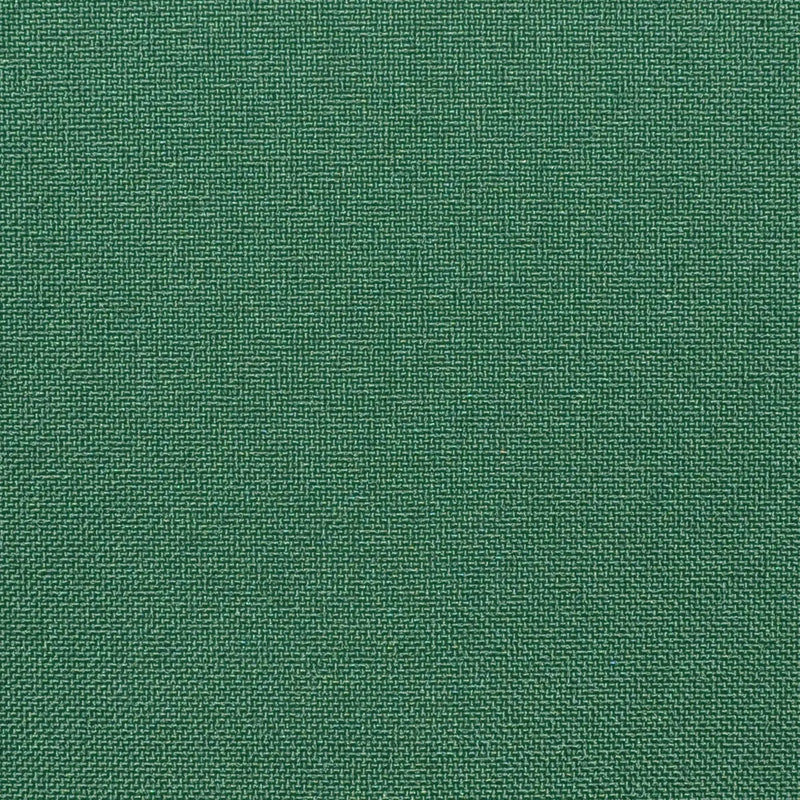 Light Green Plain Weave 100% Polyester Suiting
